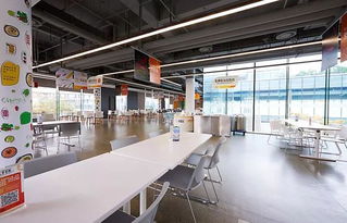 揭秘互联网巨头食堂 从京东美食城到网易猪厂，不止是员工福利